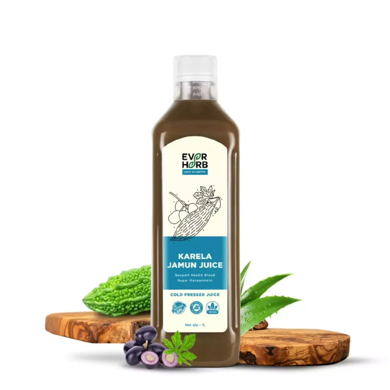 Karela Jamun Juice - Image 2