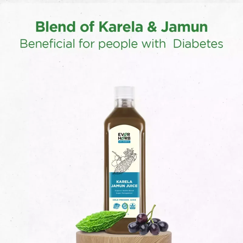 Karela Jamun Juice - Image 4