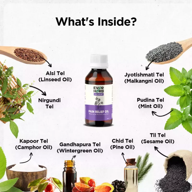 Pain Relief Oil - Image 5